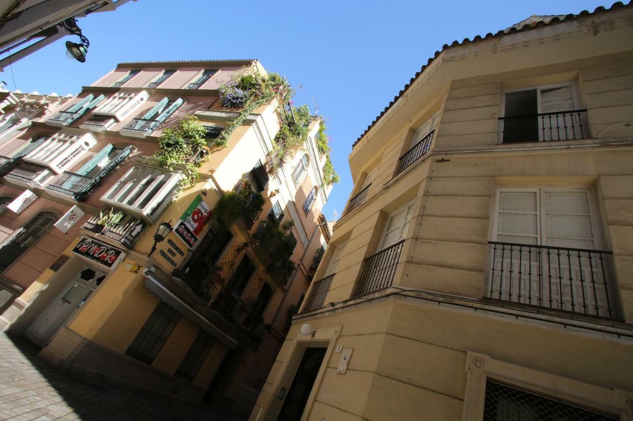 Moderno Piso En Centro Historico Appartement *